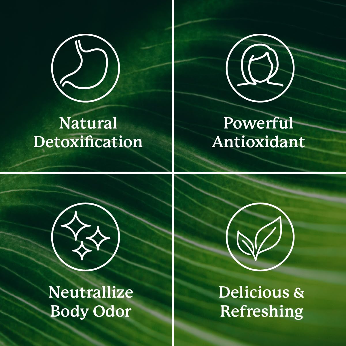 Nature's Sunshine Chlorophyll Stick Packs: Supercharge Your Detox and Boost Gut Health in Convenient, Delicious Stick Packs (Lime Twist)
