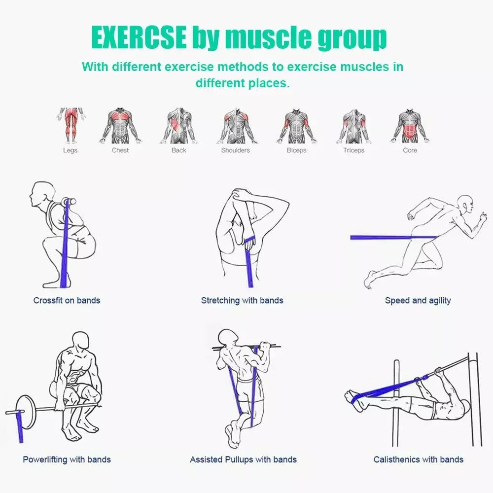 5~125lbs Tpe Gym Resistance Bands Gym Equipment for Home Boxing Yoga Exercise Equipment  Shoulder Back Rehab for Woman Man