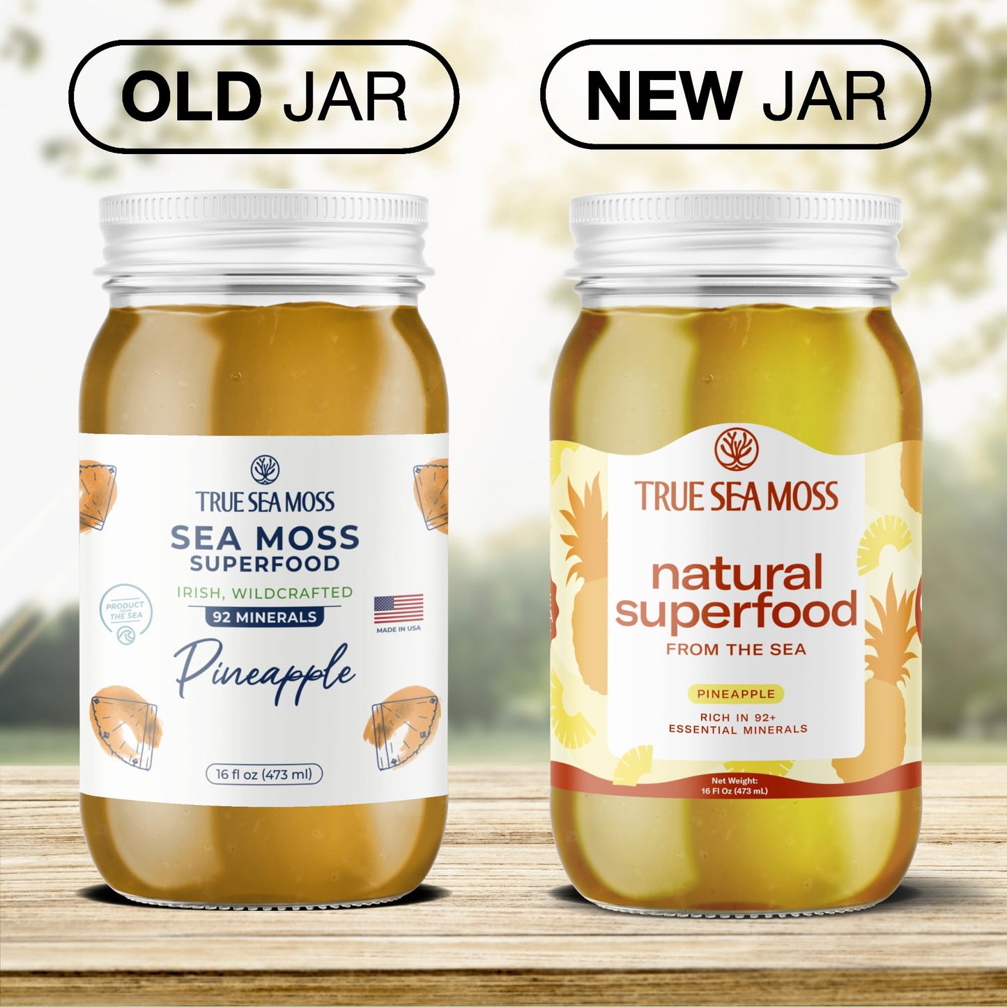 TrueSeaMoss Sea Moss Gel – Made in USA – Wildcrafted Seamoss, Fresh Fruits & Sea Vegetables – Pineapple, Pack of 1 (Labels may Vary)
