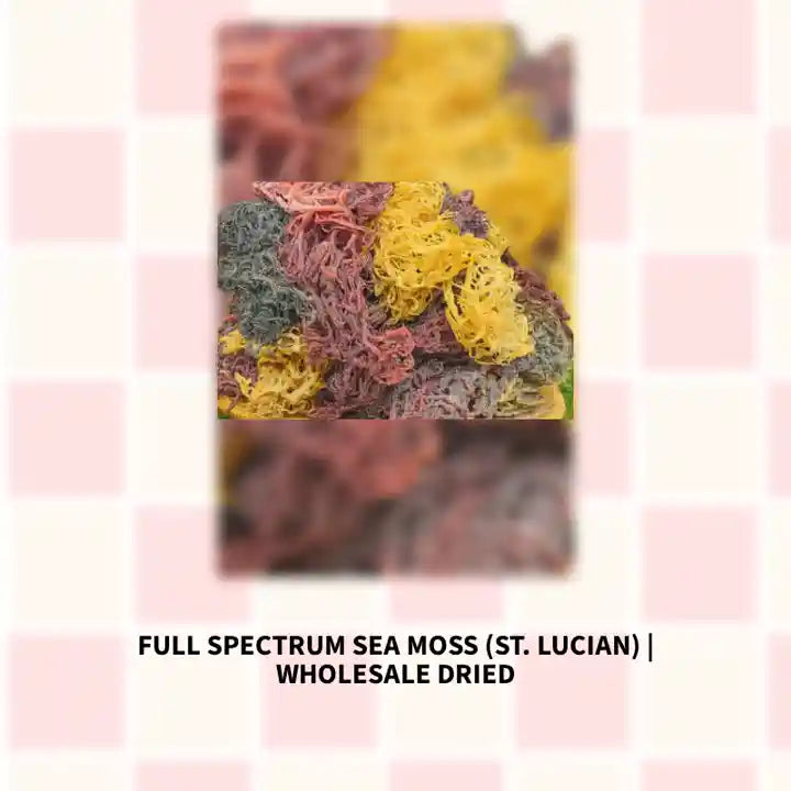 Full Spectrum Sea Moss (St. Lucian) | Wholesale Dried by@Outfy